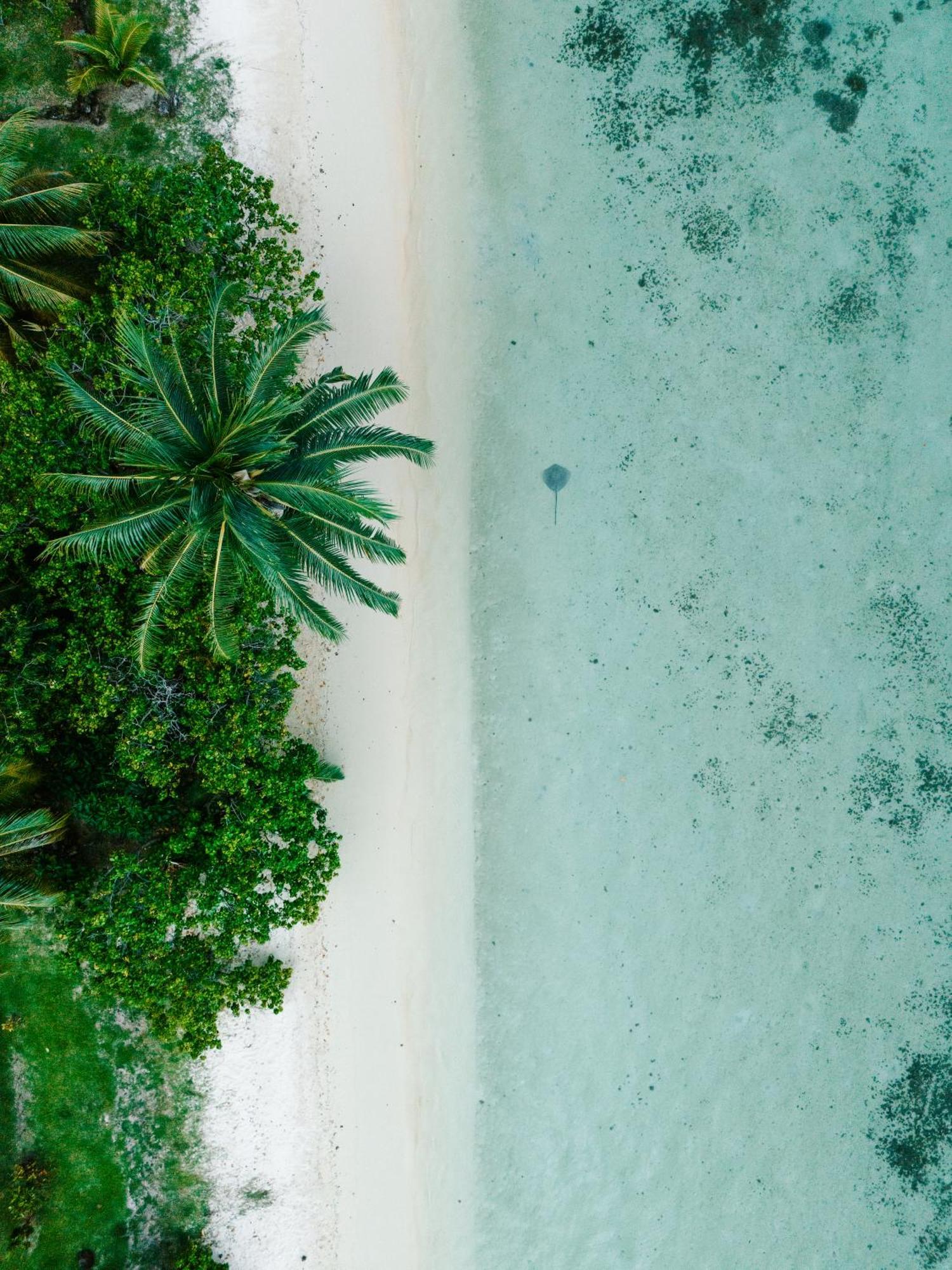 Niu Beach Hotel Moorea Luaran gambar